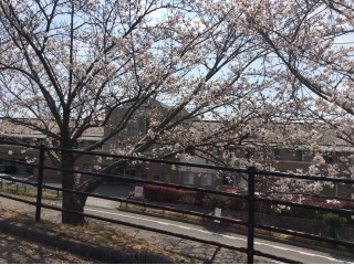 やすらぎの家　春便り♪?1766130764